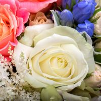  Букет Цветочный мираж Андорра-ла-Велья
														