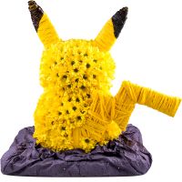  Bouquet Toy pokemon Baranovichi
														
