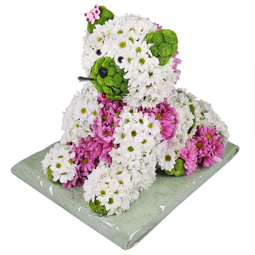  Bouquet Flower cat
                            