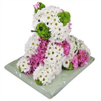  Bouquet Flower cat Яблуница
                            