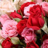 Букет квітів Досконалість троянд Бетлехем