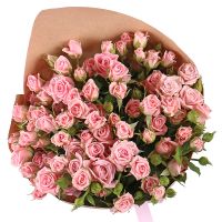15 pink spray roses Chagor