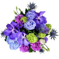  Bouquet Sensual extravaganza Habry
                            