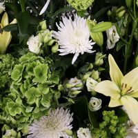 Basket of white flowers Balpyk Bi