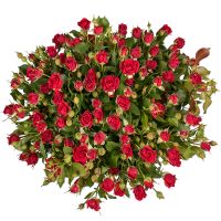 Букет маленькие розы Жмеринка
