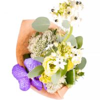  Bouquet Vanda allurement Iselin
                            