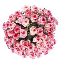 51 roses Jumilia Heraklion