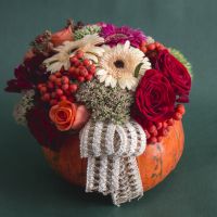  Bouquet Halloween Surprise Lugansk
                            