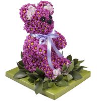 Bouquet Purple bear Portland
                            