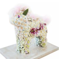Игрушка из цветов - Прелестное пони Пхукет