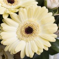  Bouquet Precious beryl Kedzierzyn-Kozle
														