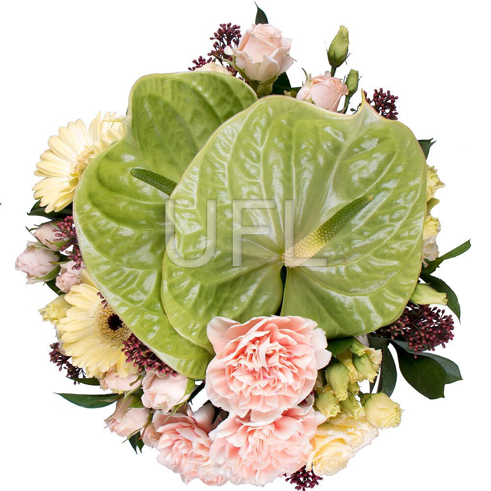  Bouquet Precious beryl
													