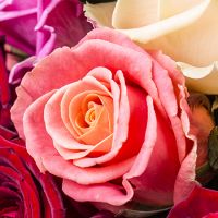 Большой букет разноцветных роз Бад-Зальцшлирф