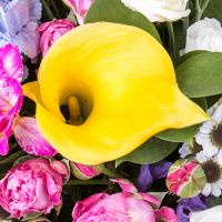 Букет квітів Мелодія кольорів Кредітон