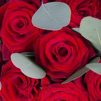 Букет Троянди коханiй Умань
														