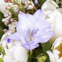  Bouquet Spring's Tale Kerns
														