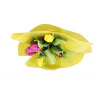Mix of tulips + kinder surprise Versoix