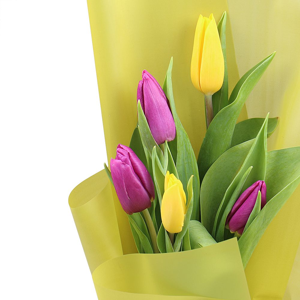 Mix of tulips + kinder surprise Mix of tulips + kinder surprise