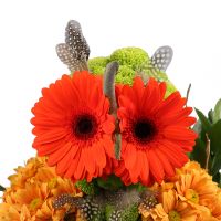 Букет квітів Диво-сова  Мелітополь (доставка тимчасово не виконується)
														