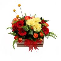  Bouquet Scarlet Velvet Uman
														