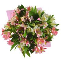 Spring tenderness (wholesale) Kentau