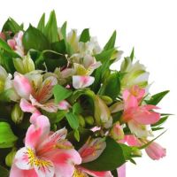 Spring tenderness (wholesale) Artsiz