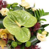  Bouquet Emerald well Fudgeyra
														