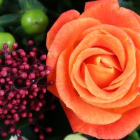 Букет цветов Эмили Роуз Бад-Фюссинг