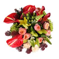  Bouquet Ambrosia placer North Bay
														