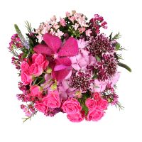  Bouquet Roxana\'s Kingdom Albi
                            