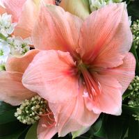 Букет цветов Прикосновение Кумберленд