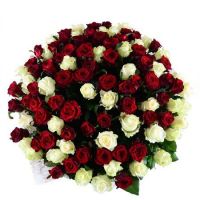 101 red-and-white roses + Martini Bianco Hallandale