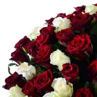 101 red-and-white roses + Martini Bianco Artz