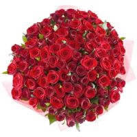101 red roses + Martini Bianco Bad Orb