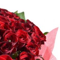 101 light-red roses Novyj Svet