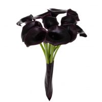 Black callas by the piece Spring Hill