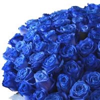 Поштучно синие розы Карлскруна