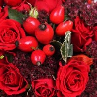 Bouquet Кровавая Мэри Spokane
                            