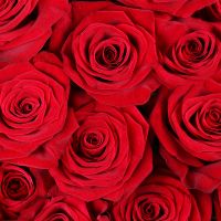 101 roses  + Candies Ferrero Rocher Nikolayevka