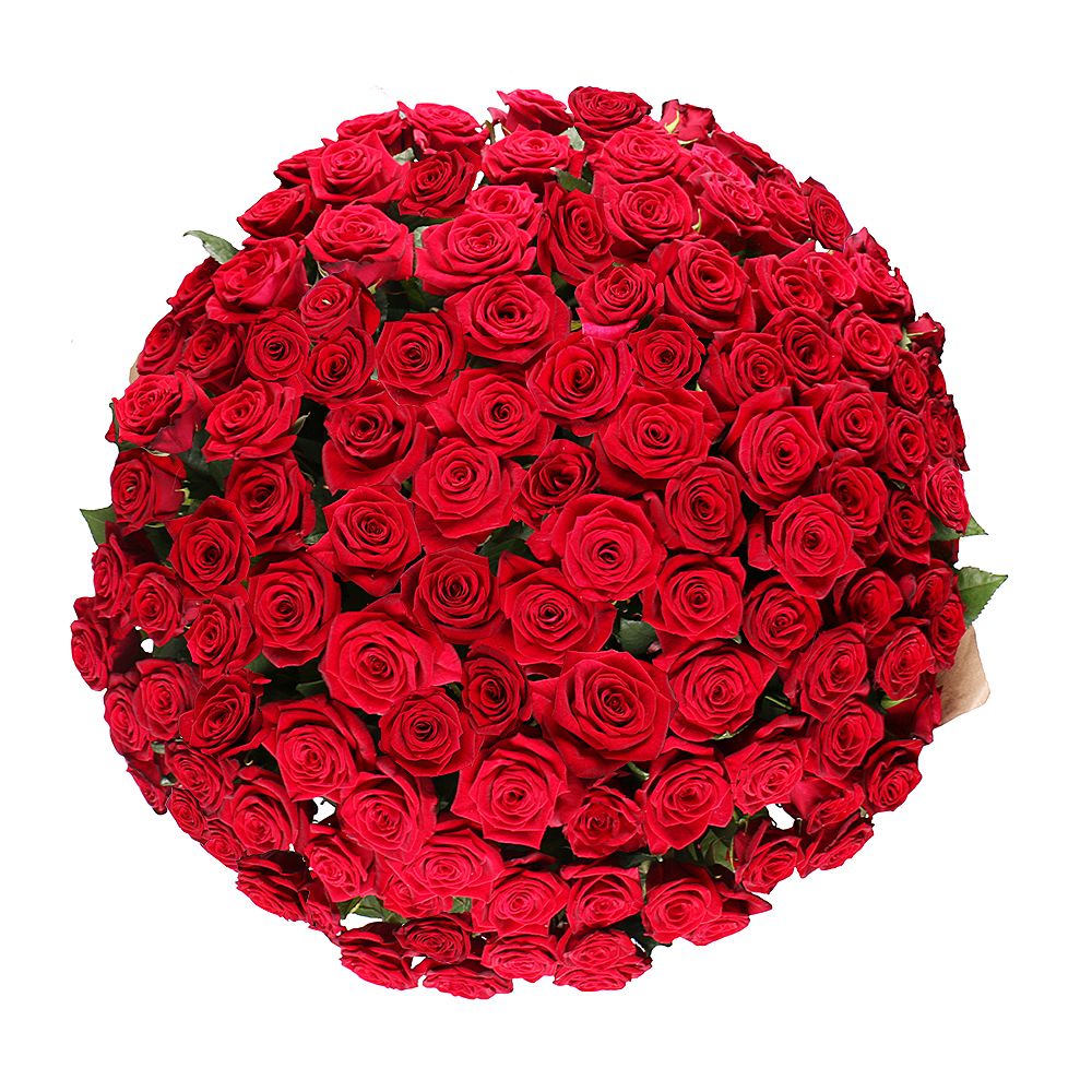 101 roses  + Candies Ferrero Rocher