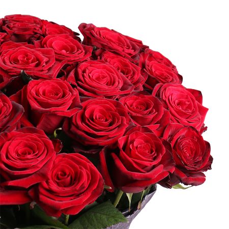 50 red roses