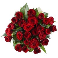 25 red roses Zetland