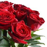25 red roses Gavrilovka