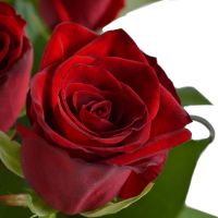Букет из 19 червоних троянд Енна