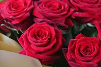 Букет квітів 21 троянда червона Кера