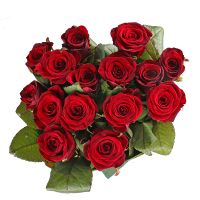 Букет цветов 15 роз Тецканы
