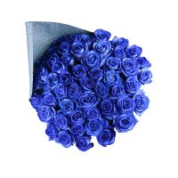 Из 51 синей розы Vienna