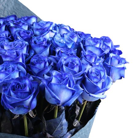 Из 51 синей розы Из 51 синей розы