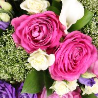 Букет квітів Рожевий фламінго Бойнтон-Біч