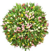  Bouquet  501 tulip Strzegom
														